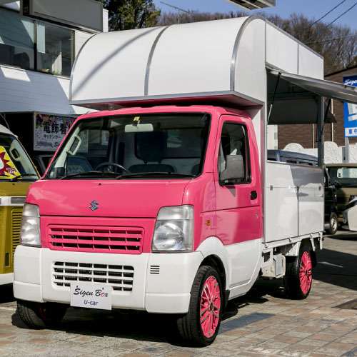 サクラカラーデザイン塗装例の写真 サクラカラーデザイン塗装例の写真